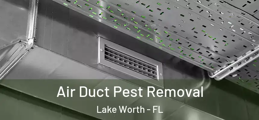  Air Duct Pest Removal Lake Worth - FL