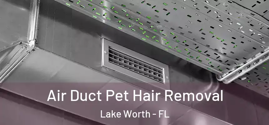  Air Duct Pet Hair Removal Lake Worth - FL