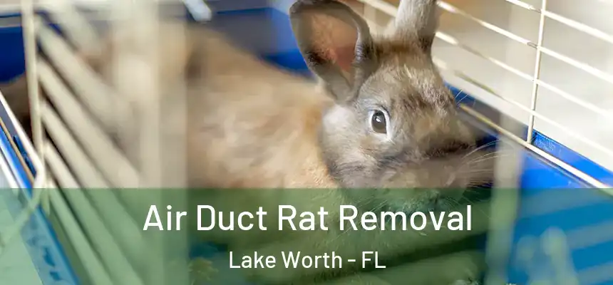 Air Duct Rat Removal Lake Worth - FL