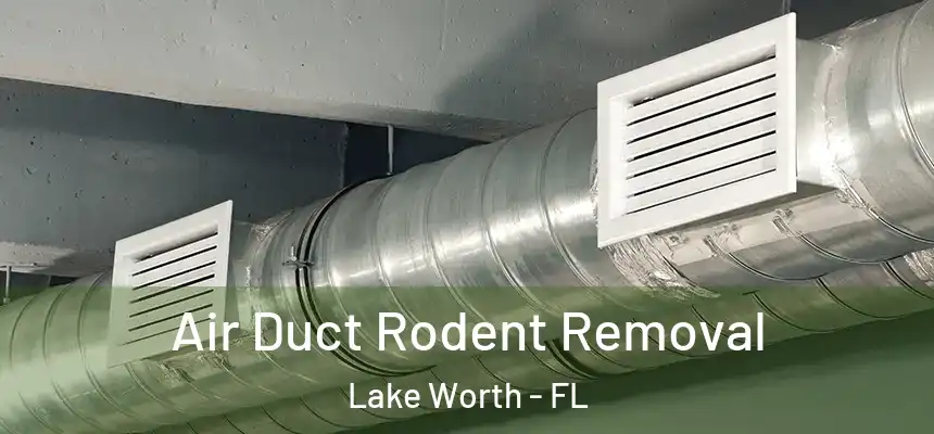  Air Duct Rodent Removal Lake Worth - FL