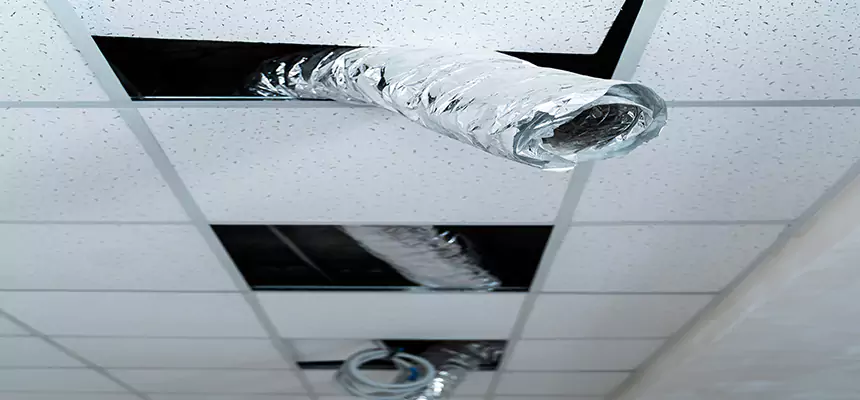 Affordable HVAC Sanitizing After Pest Removal in Lake Worth