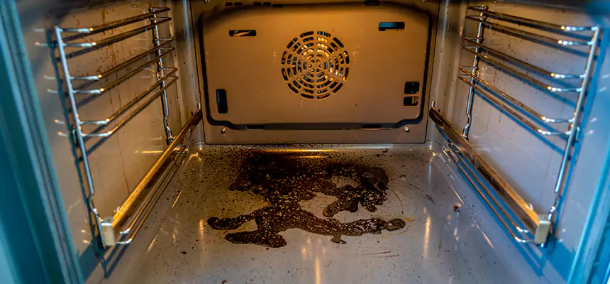 Our Dryer Vent Mold Cleaning Services in Lake Worth, FL