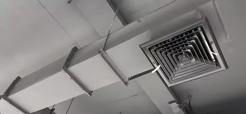 Our Rodent Droppings In Vents Services in Lake Worth, FL