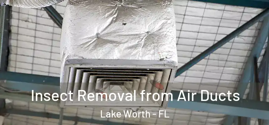 Insect Removal from Air Ducts Lake Worth - FL