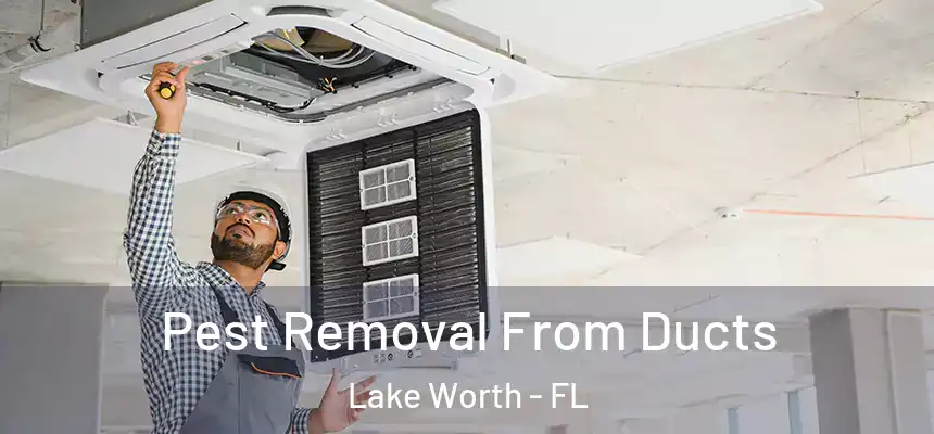  Pest Removal From Ducts Lake Worth - FL