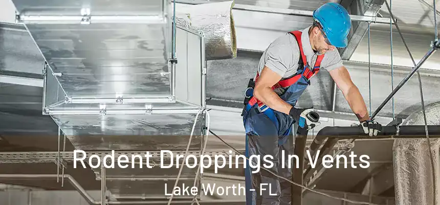  Rodent Droppings In Vents Lake Worth - FL