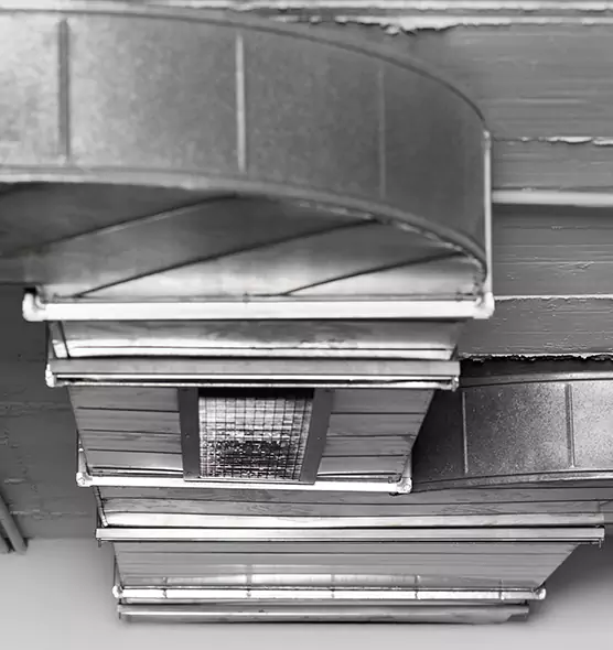 Professional Air Duct Pet Hair Removal in Lake Worth, FL