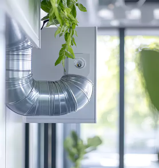 Professional Eco-Safe Dryer Vent Cleaning in Lake Worth, FL