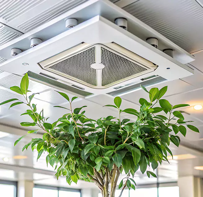 Why Homeowners & Businesses Trust Us in Lake Worth, FL?