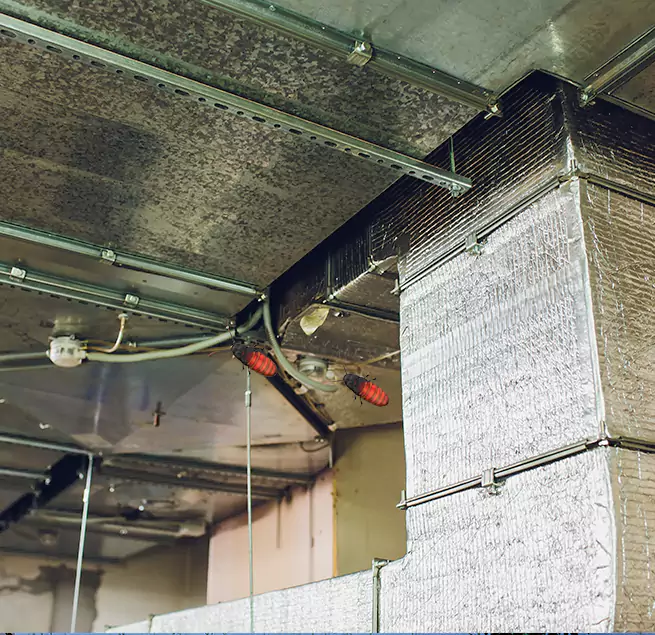 Why Homeowners & Businesses Trust Us Lake Worth, FL?